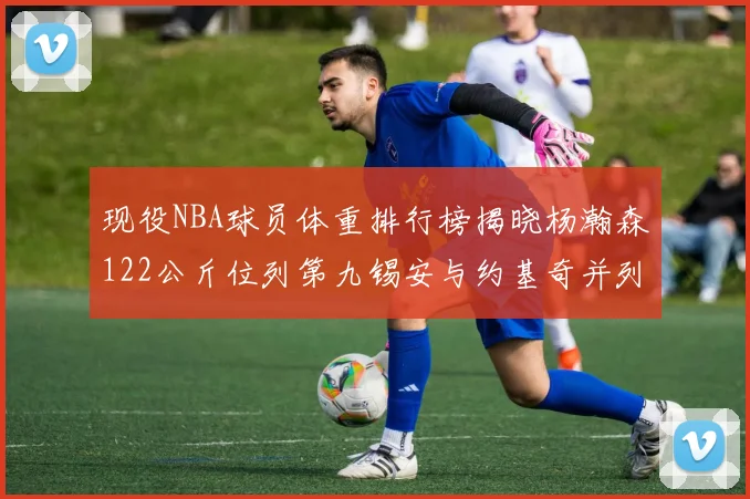 现役NBA球员体重排行榜揭晓杨瀚森122公斤位列第九锡安与约基奇并列第三