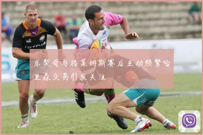 东契奇与格莱姆斯赛后互动频繁哈里森交易引发关注
